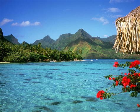 2K Free Download Beautiful Tropical View Tropical View Oceans