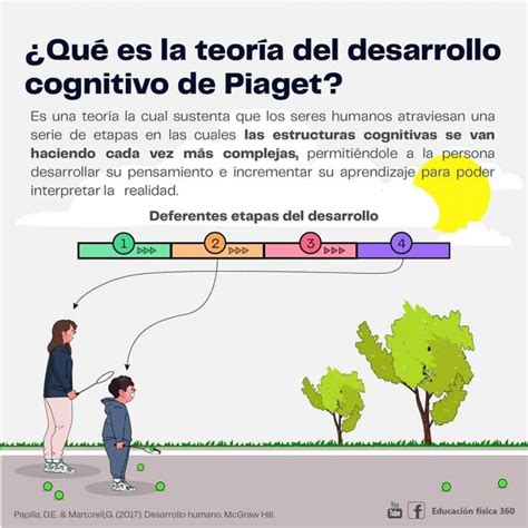 ¿en Qué Consiste La Teoría Del Desarrollo Cognitivo De Piaget 2024