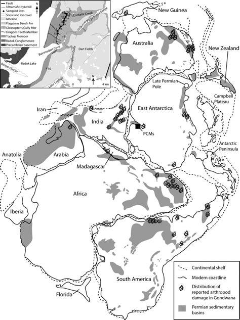 Map Of Gondwana For The Permian Showing The Distribution Of Sedimentary