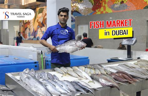 Fish Market Dubai Everything You Wanted To Know