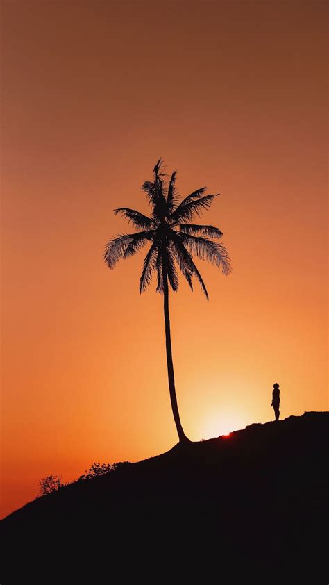 Download Wallpaper 938x1668 Palm Tree Silhouette Sunset Hill Dark