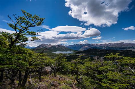 Fonds Decran Argentine Montagnes Ciel El Chalten Patagonia Arbres