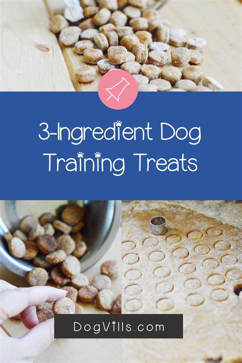 Easy Mini Training Dog Treats Recipe Dog Training Treats Homemade