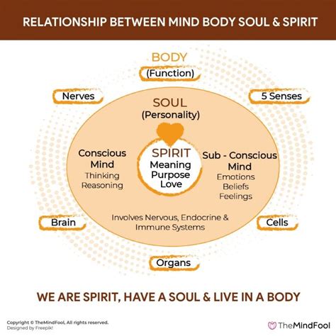 15 Tips To Balance Mind Body And Soul Mind Body Spirit
