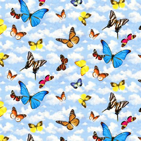 Butterflies In The Blue Sky Pattern Premium Roll T Wrap Wrapping