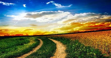 Setelah itu boleh rujuk lagi dengan cara yang baik atau tidak boleh mereka menyembunyikan apa yang diciptakan allah dalam rahimnya, jika mereka beriman mengenai ayat, لَا تَدْرِي لَعَلَّ اللَّهَ يُحْدِثُ بَعْدَ ذَلِكَ أَمْرًا. Beberapa Fatwa Sesat Ibnu Taimiyah yang Menentang dengan ...