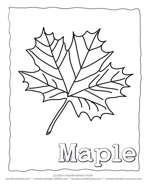 Free printable mandala coloring page for adults. maple syrup coloring pages - Clrg