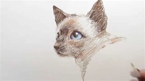 Free step by step easy drawing lessons, you can learn from our online video tutorials and draw your favorite characters in minutes. HOW TO DRAW A CAT_고양이 드로잉_김충원 미술교실 - YouTube