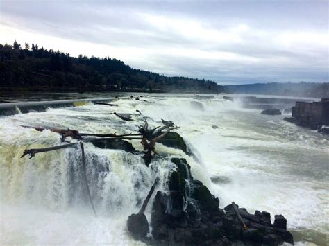 Willamette Falls Heritage Area Earns State Designation First Of Its