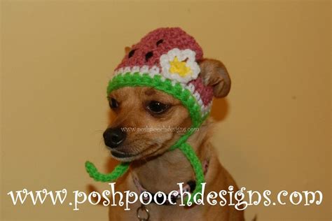 Instant Download Crochet Pattern Watermelon Dog Hat Small Etsy