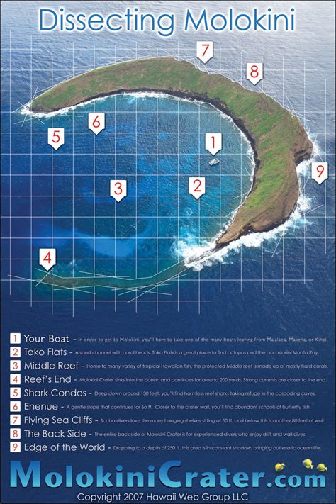 Molokini Dive Spots Maui Map Of Molokini Snorkel And Scuba Locations