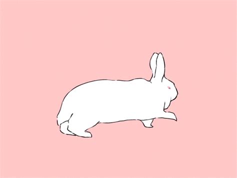 Animation Rabbit  By Brontron Find And Share On Giphy