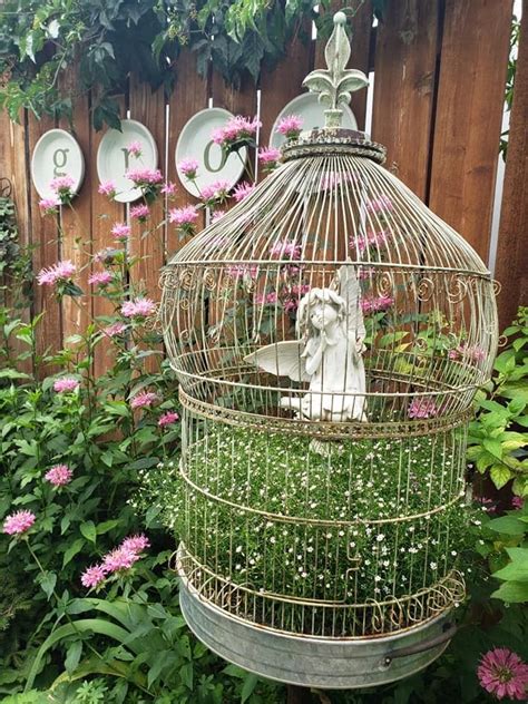 Pin On Outsidebirdcages