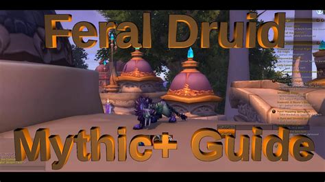 Feral Druid DPS Mythic Plus Guide 9 1 5 YouTube