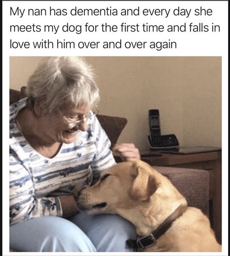 Hiding the elevators on the dementia ward. 7 Wholesome Memes To Help Students Feel Less Miserable ...