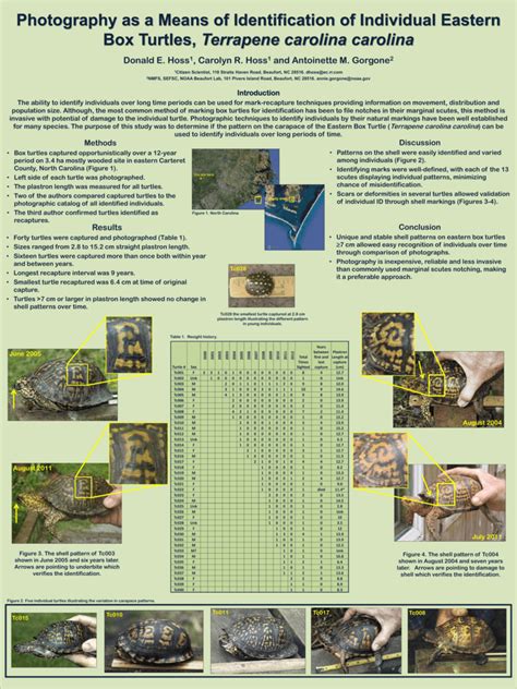 Poster North American Box Turtle Conservation Workshop