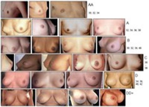 Cup Size Chart With Examples My Xxx Hot Girl