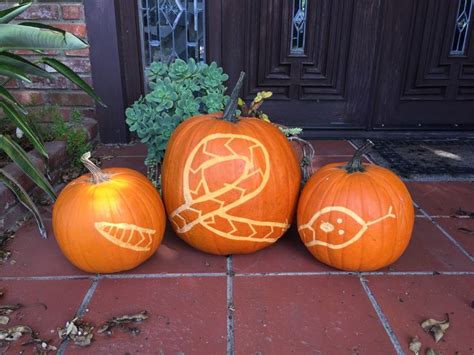Three Pumpkins That Have Been Carved To Look Like Birds