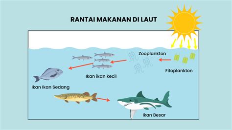 Mencermati Sistem Rantai Makanan di Sawah, Hutan dan Laut - Varia