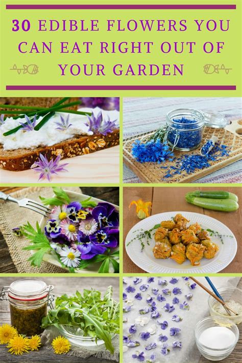 Small flowers like lilacs can serve as a beautiful garnish in ice cubes for summer cocktails. 30 Edible Flowers You Can Eat Right Out Of Your Garden ...