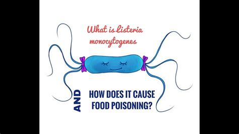 What Is Listeria Monocytogenes Youtube