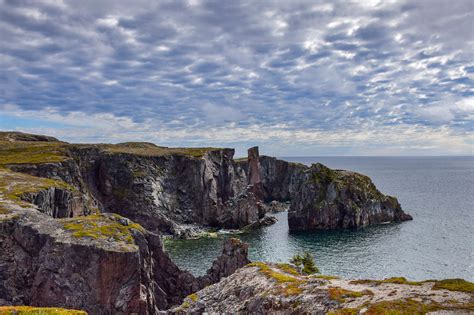 Where To See Puffins In Newfoundland Canada Travel Bliss Now