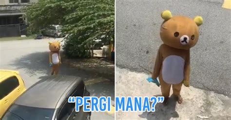 The cmco in melaka, pahang, putrajaya, labuan and terengganu will also be changed to an rmco in the same period; Rilakkuma Spotted In KL Turns Out To Be A M'sian Man ...