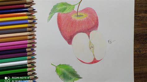Drawing Apple With Colour Pencils Step By Stepdoms Colour Pencils