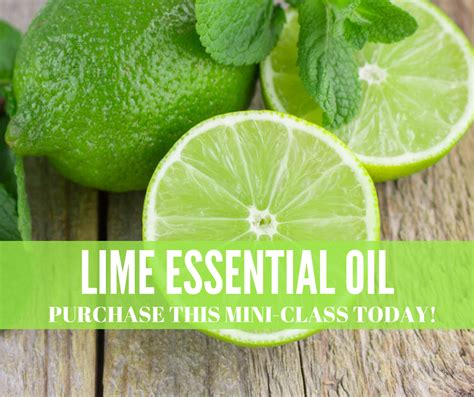 Lime Essential Oil These Mini Classes Can Be Used As A Class As