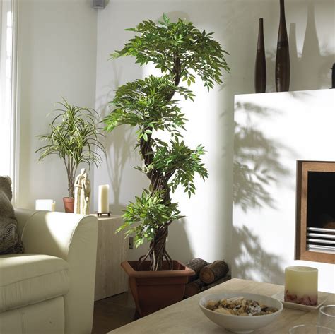 Lauréna valette 3 décembre 2020 le ficus lyrata est un véritable petit arbre d'intérieur. Élégant Artificiel Japonaise Fruticosa Arbre, Grand Luxury ...