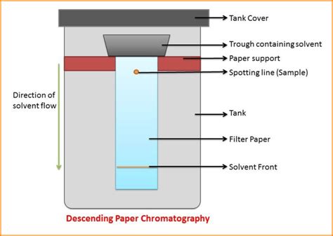 What Is Paper Chromatography Principle And Procedure