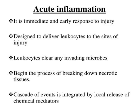 Ppt Acute Inflammation 1 Powerpoint Presentation Free Download Id