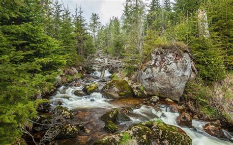 Nationalpark Bayerischer Wald Ausflugsziele Aktivurlaub Bayern