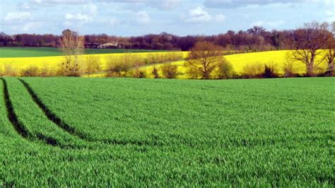 Le prix de la terre agricole augmente légèrement