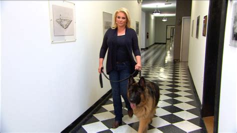 Campaigning For K9s From Pups To Cops Nbc News