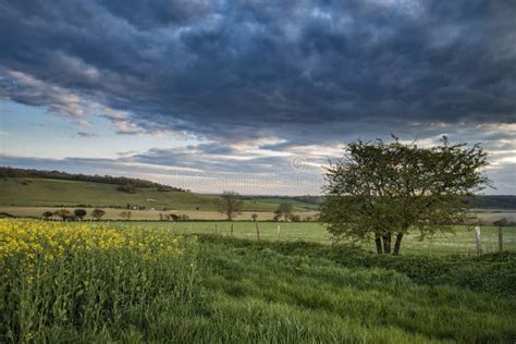 Beautiful English Countryside Landscape Over Fields At Sunset Stock