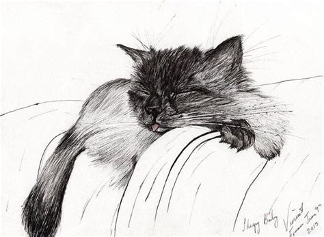 Padding against the vertical surface will help to simulate the comfort of sleeping on a bed. Sleepy Baby | Sleeping animals, Sleepy baby, Cat art