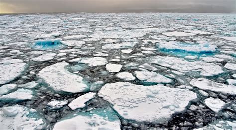 10 arctic facts you might not know aurora expeditions™