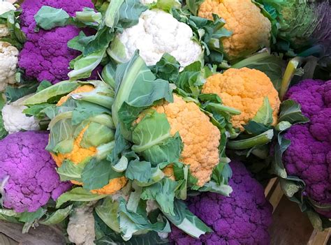 We hope you find it of use and maybe get to enjoy eating a few veggies you never knew existed. Alphabetical List of Vegetables - Nutrineat