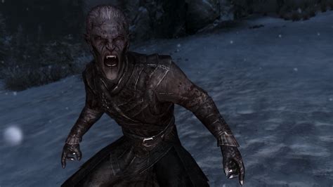 Other vampire mods exist, but they can be overly complex or force you to play only as the author intended. Our favourite Skyrim builds: necromage vampire - My site