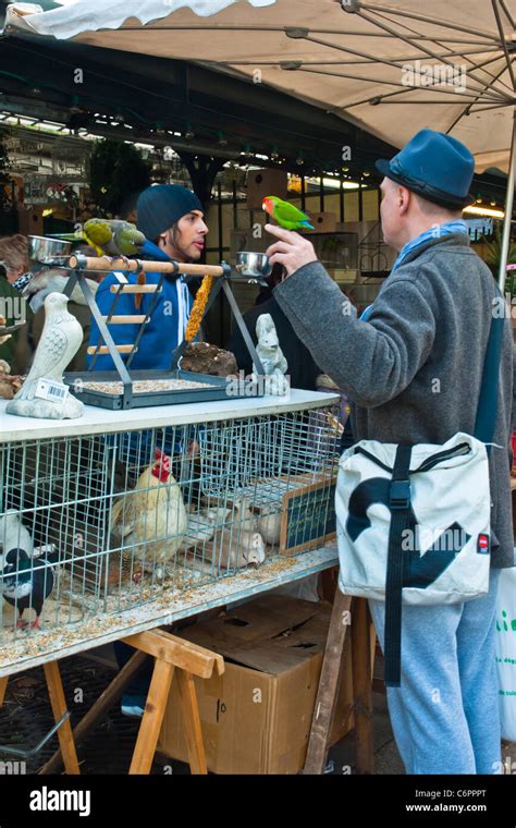 At The Sunday Bird Market In Paris A Local Man Takes His Young Parakeet