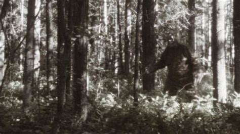 Bigfoot Apakah Makhluk Ini Benar Benar Ada Bbc News Indonesia