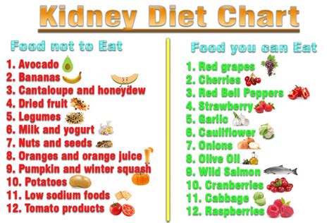 Pin On Kidney Friendly Recipes Renal Diet