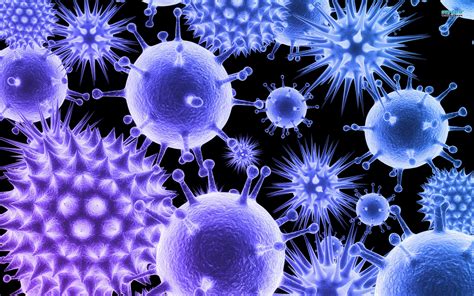 Human Immunodeficiency Virus Fundamentals Of Life
