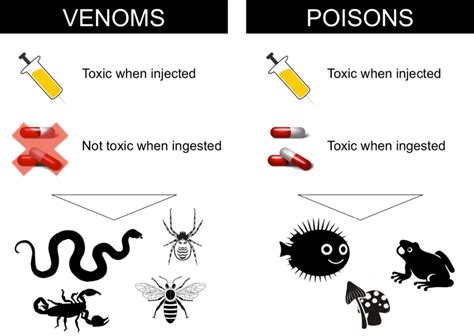Venoms That Save Lives Splice