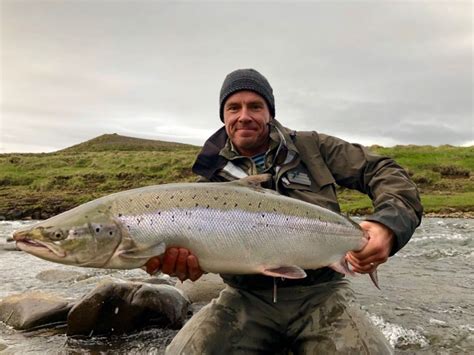 Salmon Fishing In Iceland