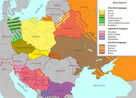 Slavic Languages Map Language Map Infographic Map