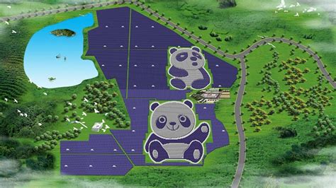Chinas Panda Shaped Solar Plant Is Worlds Cutest Renewable Energy