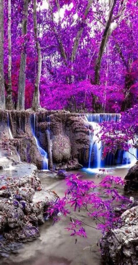 Purple Waterfall Shoalhaven Sparklies