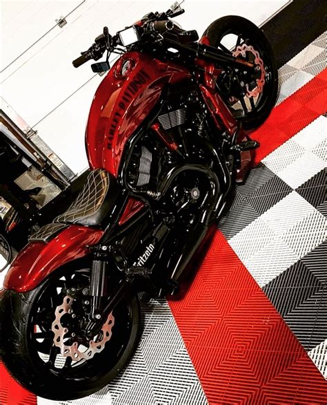 Harley Custom Night Rod Vrscd For Sale By Dgd Custom Artofit